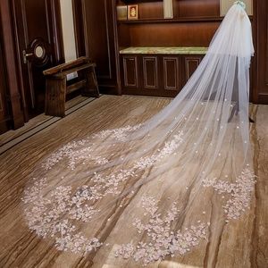 BRAND NEW Regal cathedral length embroidered veil